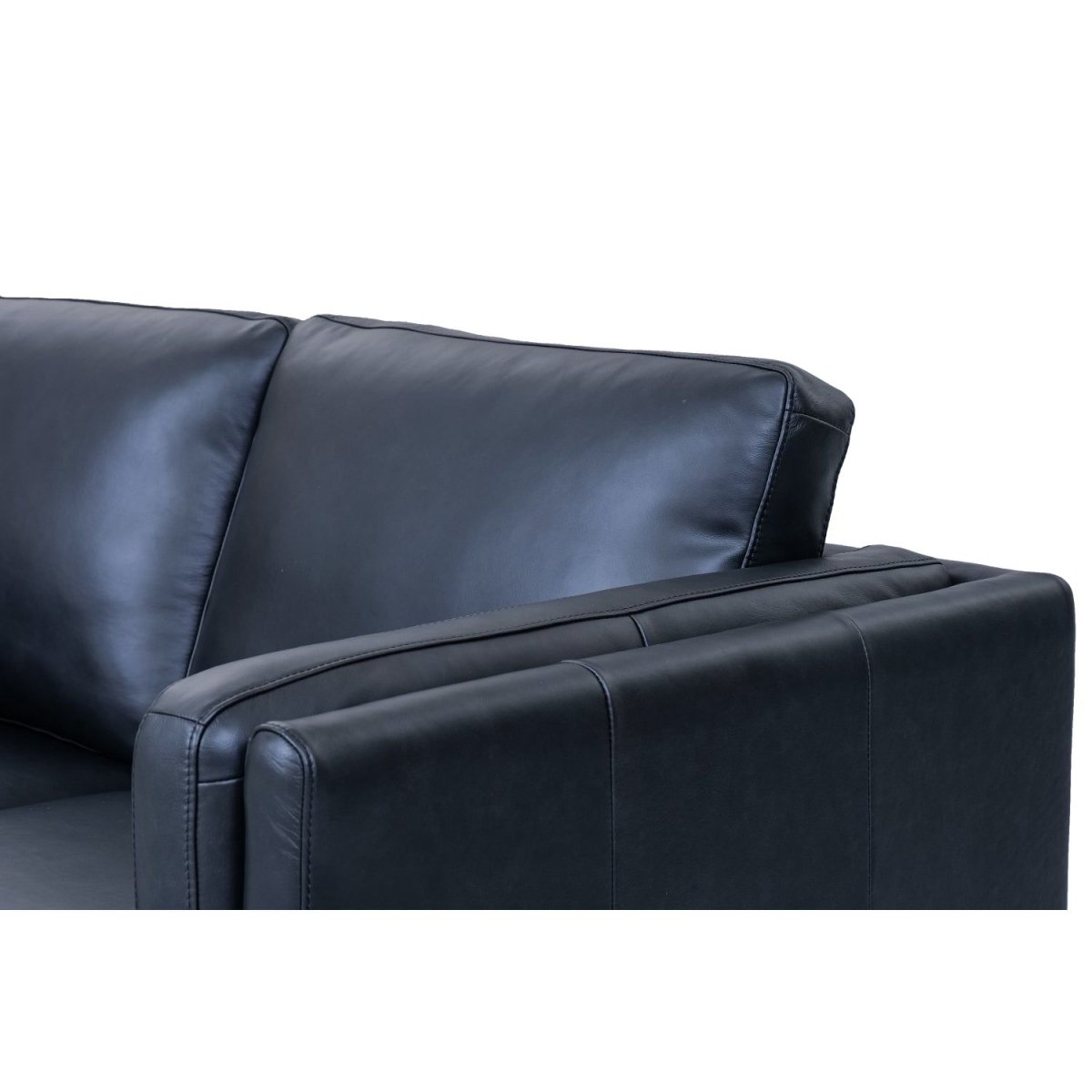 2-Sitzer Ledersofa Valencia – Echtleder Schwarz, skandinavisches Design